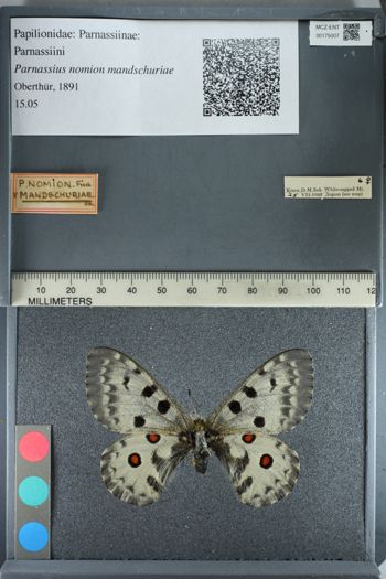 Media type: image;   Entomology 175007